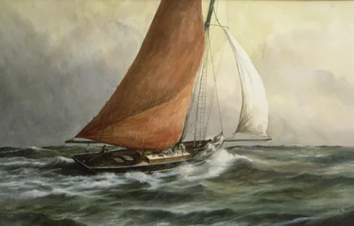 Bawley in the Estuary